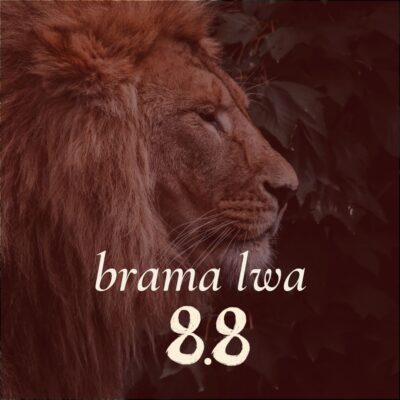 Brama Lwa 8.8